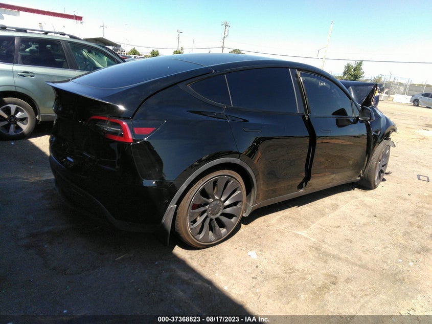 VIN 7SAYGDEF6NF343118 2022 TESLA MODEL Y PERFORMANCE