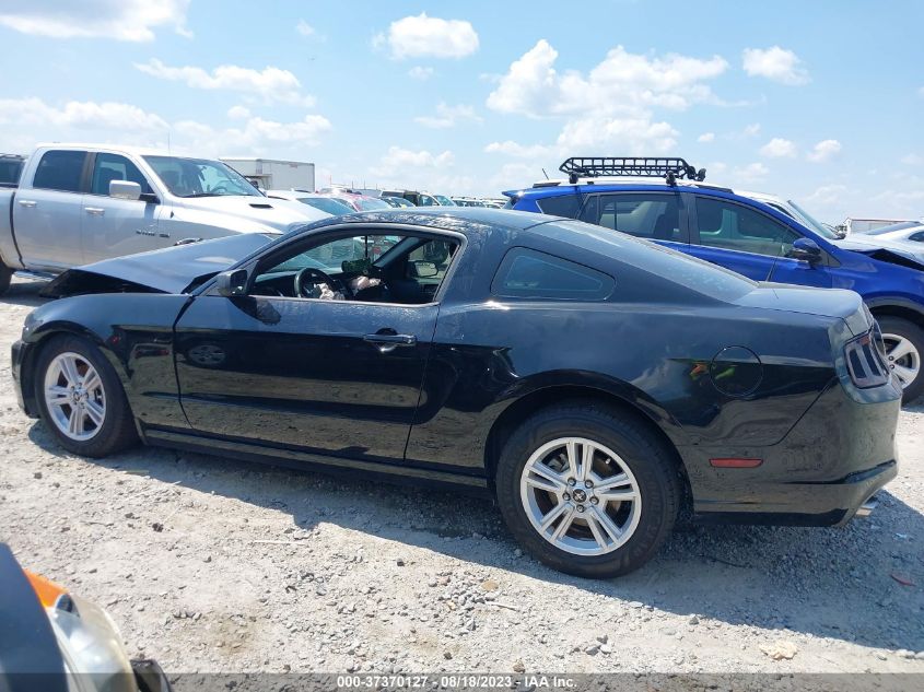 2014 FORD MUSTANG V6 - 1ZVBP8AM4E5330056