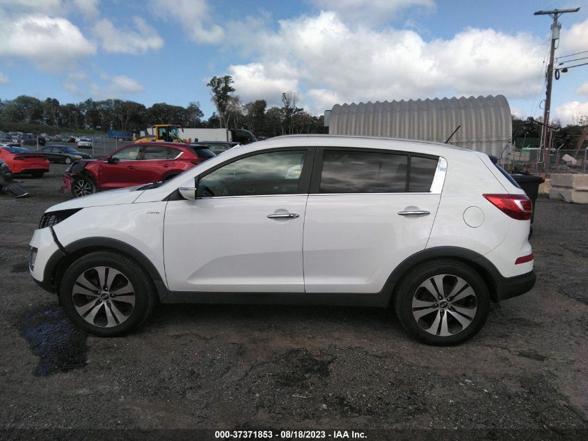 2013 KIA SPORTAGE EX - KNDPCCA26D7466701