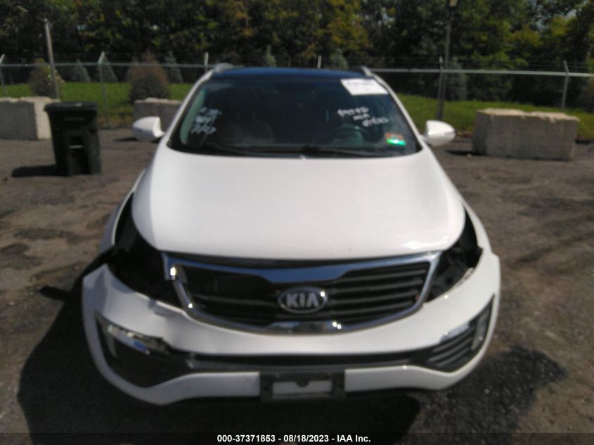 2013 KIA SPORTAGE EX - KNDPCCA26D7466701