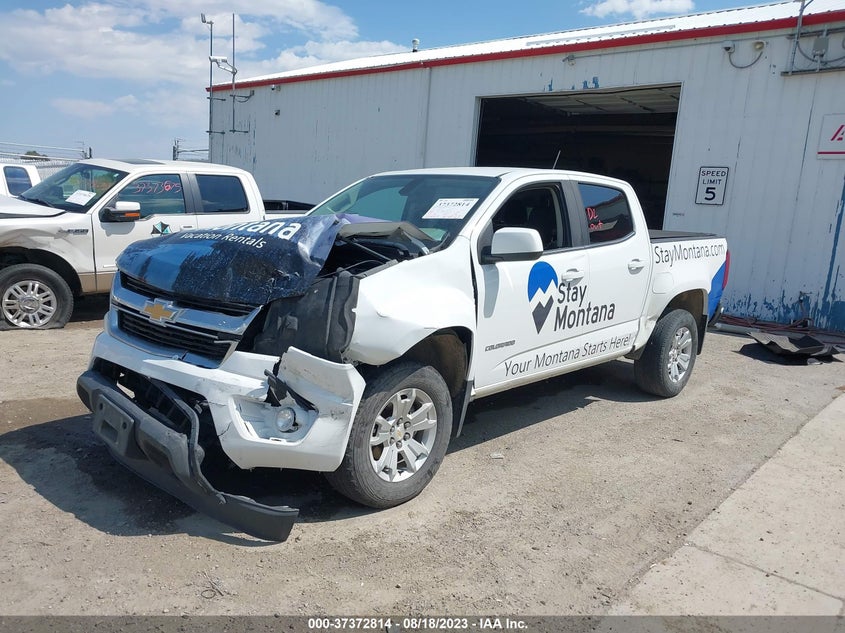 VIN 1GCGTCEN5K1116481 2019 CHEVROLET COLORADO 4WD LT