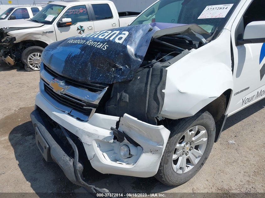 VIN 1GCGTCEN5K1116481 2019 CHEVROLET COLORADO 4WD LT