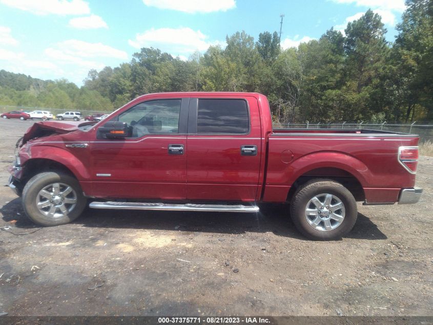 2013 FORD F-150 XL/XLT/FX2/LARIAT - 1FTFW1CT7DKG40656