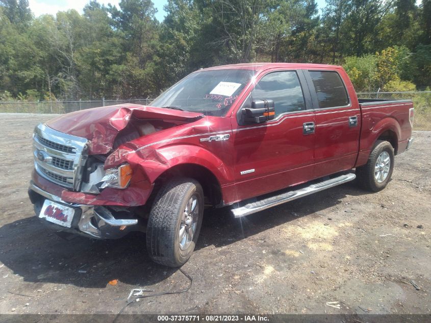 2013 FORD F-150 XL/XLT/FX2/LARIAT - 1FTFW1CT7DKG40656