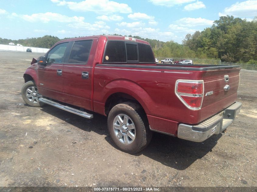 2013 FORD F-150 XL/XLT/FX2/LARIAT - 1FTFW1CT7DKG40656