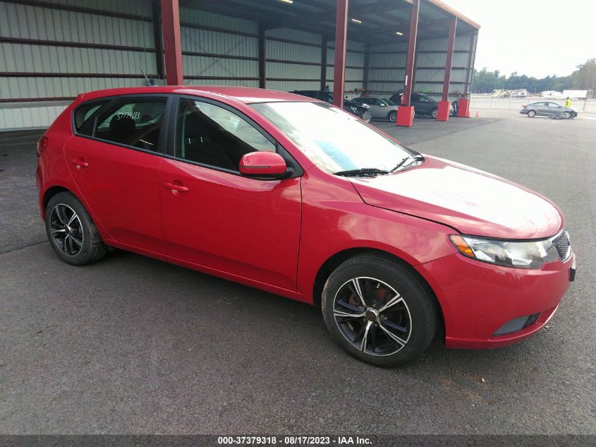 2013 KIA FORTE 5-DOOR EX - KNAFU5A29D5728255