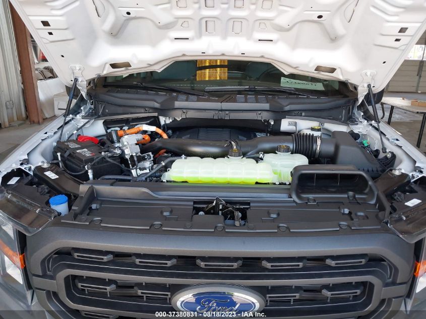 2023 FORD F-150 XL/XLT/LARIAT - 1FTFW1ED3PFC53539