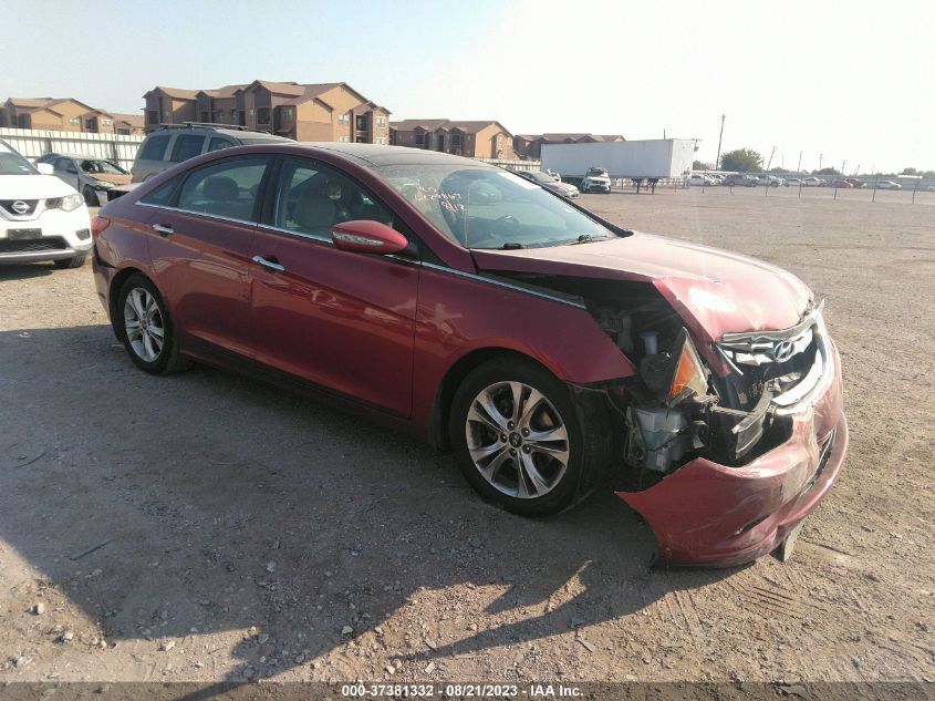 2013 HYUNDAI SONATA - 5NEED5AC8DH668229