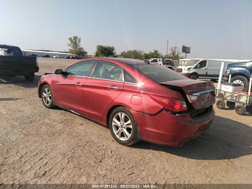 2013 HYUNDAI SONATA - 5NEED5AC8DH668229