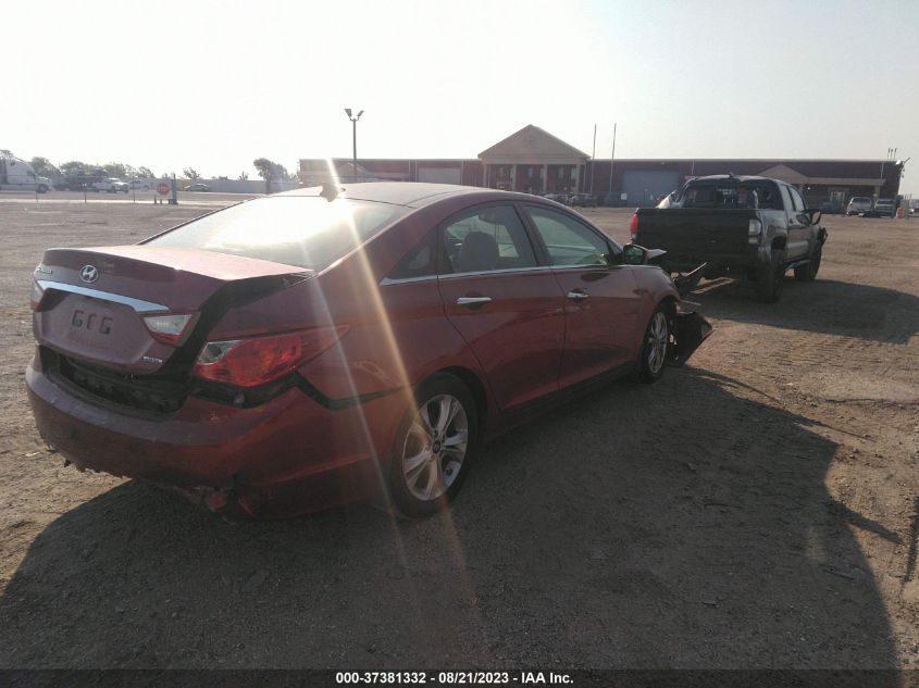 2013 HYUNDAI SONATA - 5NEED5AC8DH668229