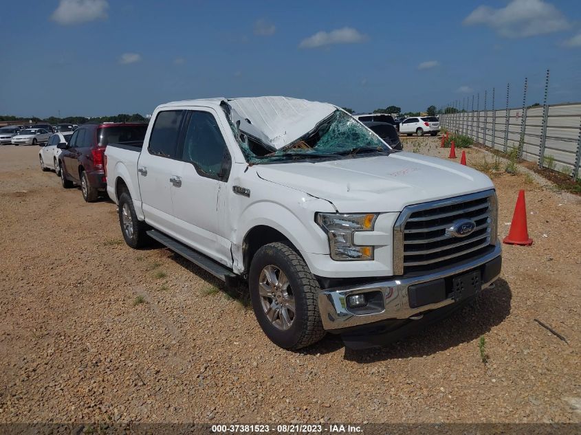 2015 FORD F-150 XLT/XL/LARIAT/PLATINUM - 1FTEW1EG1FFC03095