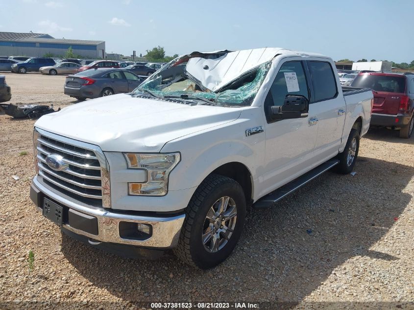 2015 FORD F-150 XLT/XL/LARIAT/PLATINUM - 1FTEW1EG1FFC03095