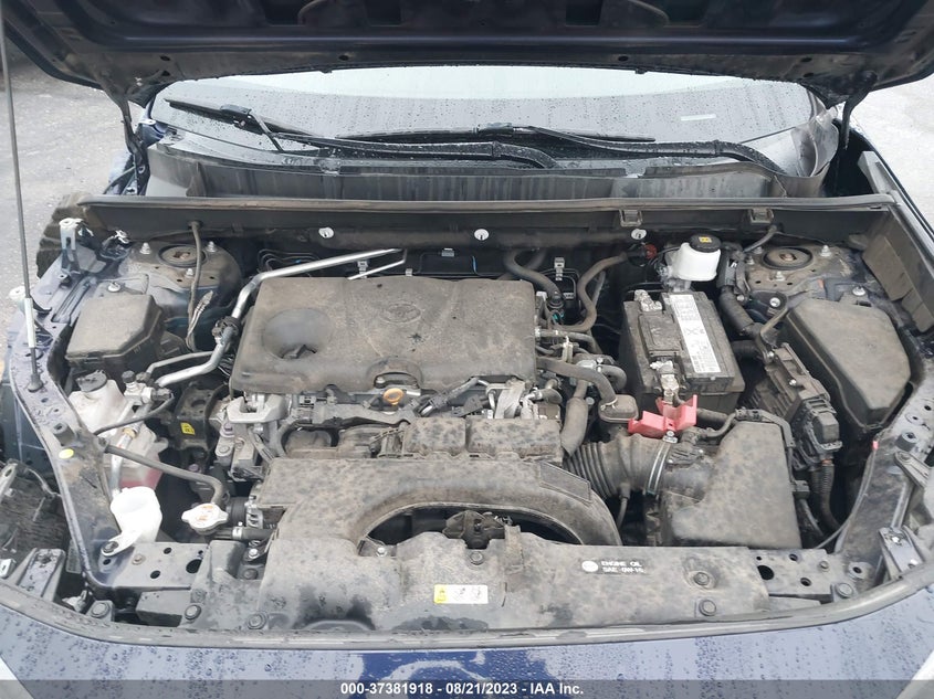 VIN 2T3C1RFVXKC019303 2019 TOYOTA RAV4 XLE PREMIUM