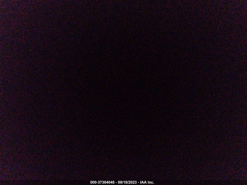 2019 TESLA MODEL 3 RANGE - 5YJ3E1EA7KF301827