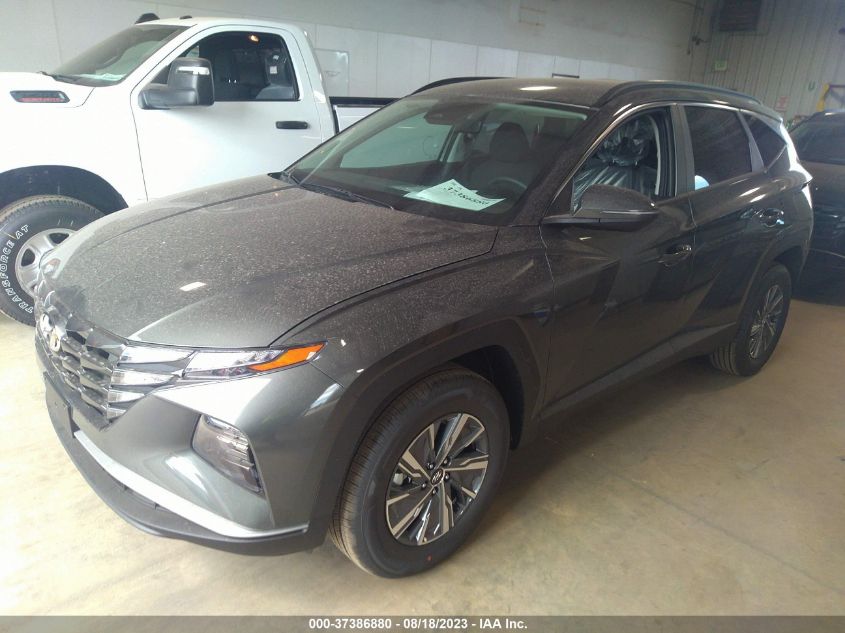 2023 HYUNDAI TUCSON HYBRID BLUE KM8JBCA12PU133204