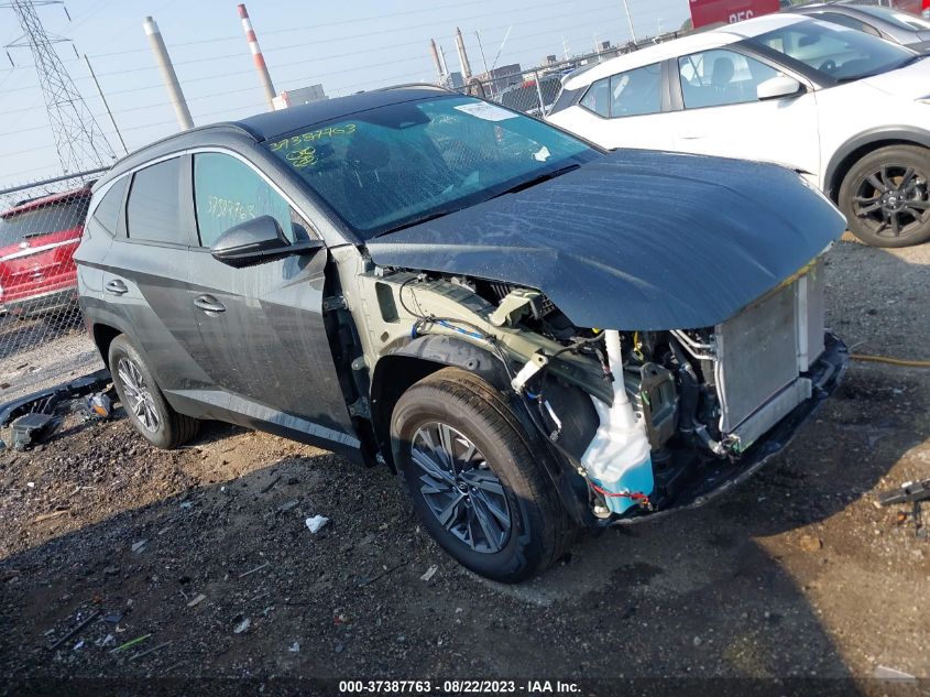 2022 HYUNDAI TUCSON HYBRID BLUE - KM8JBCA14NU077571