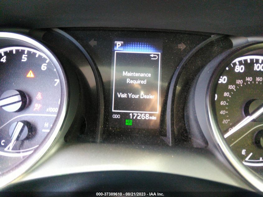 2023 TOYOTA CAMRY SE/SE NIGHTSHADE - 4T1G11AKXPU095540