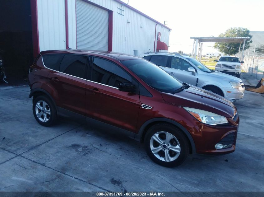 2014 FORD ESCAPE SE - 1FMCU0GX8EUE07404