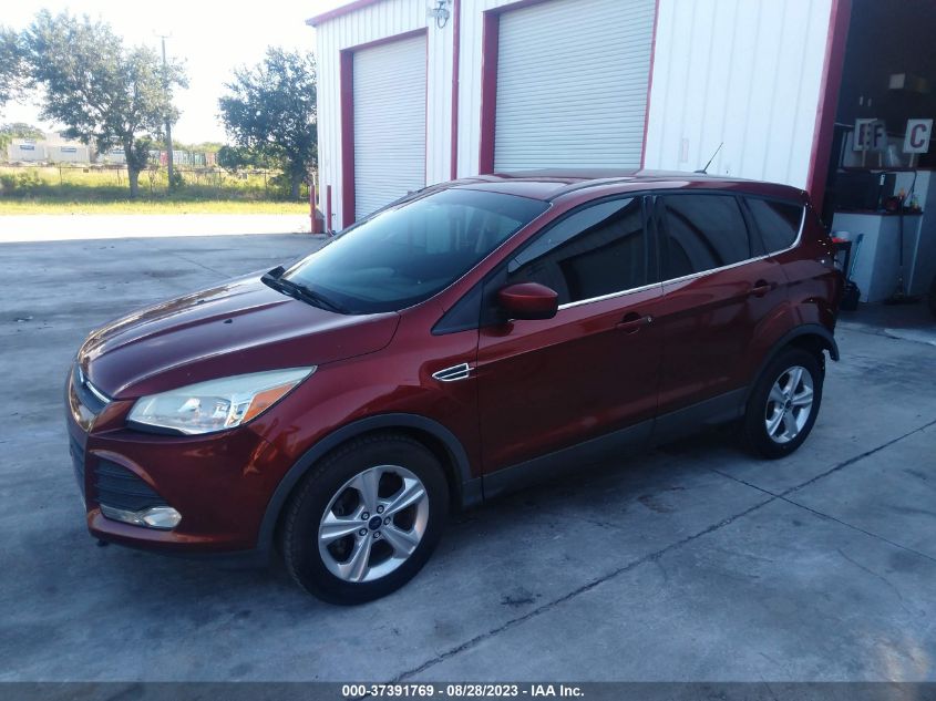 2014 FORD ESCAPE SE - 1FMCU0GX8EUE07404