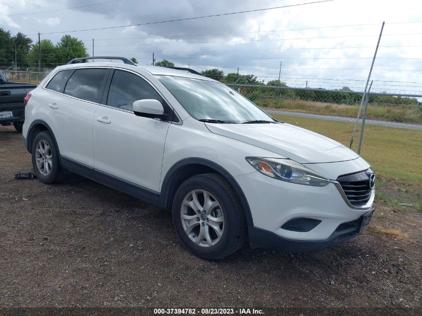 2013 MAZDA CX-9 SPORT - JM3TB2BA1D0409176