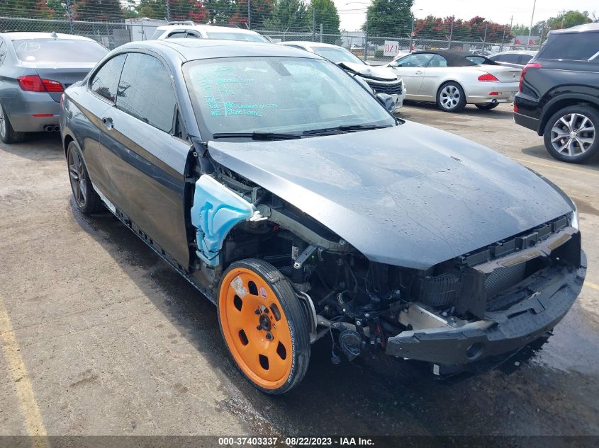2016 BMW 2 SERIES 228I - WBA1F9C51GV545391
