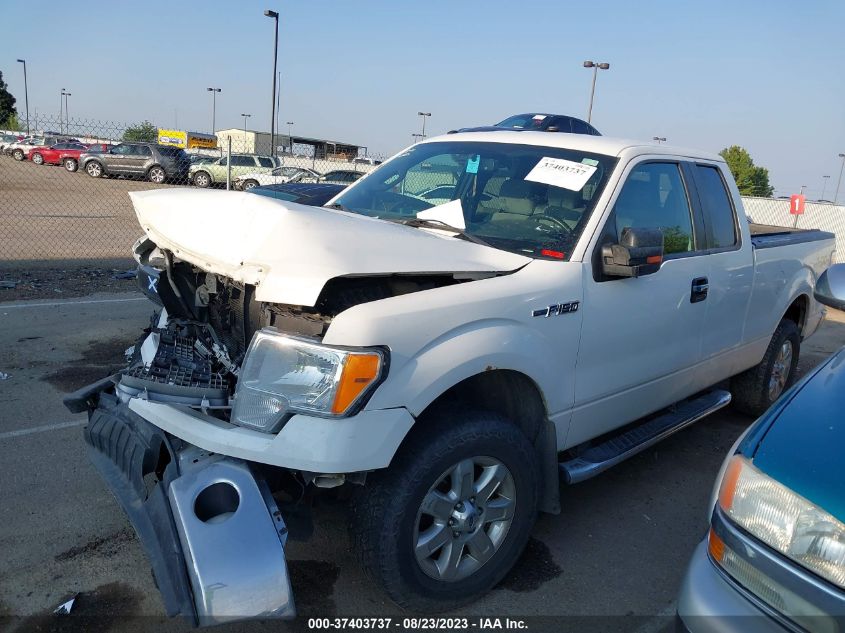 2013 FORD F-150 XL/STX/XLT/FX4/LARIAT - 1FTFX1EF6DFB30649