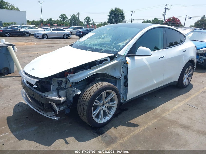 VIN 5YJYGDEE8MF109243 2021 TESLA MODEL Y LONG RANGE