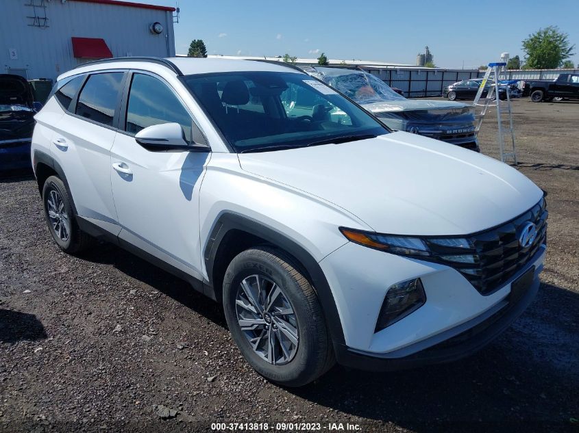 2022 HYUNDAI TUCSON HYBRID BLUE - KM8JBCA10NU083822