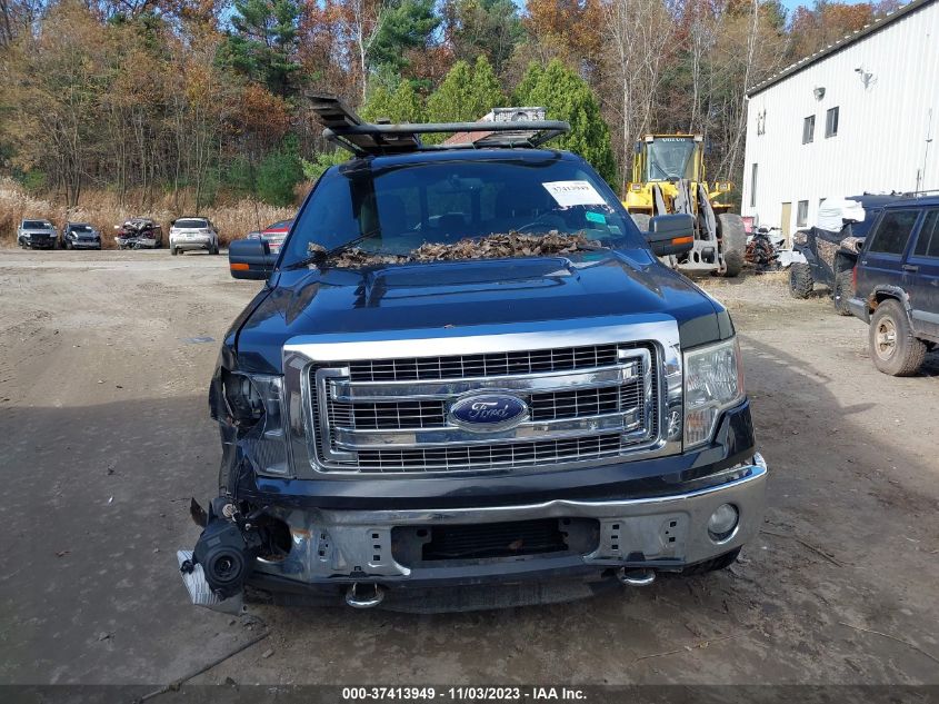 2013 FORD F-150 XL/XLT/FX4/LARIAT - 1FTFX1ET8DFB14071