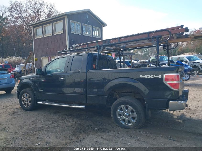 2013 FORD F-150 XL/XLT/FX4/LARIAT - 1FTFX1ET8DFB14071