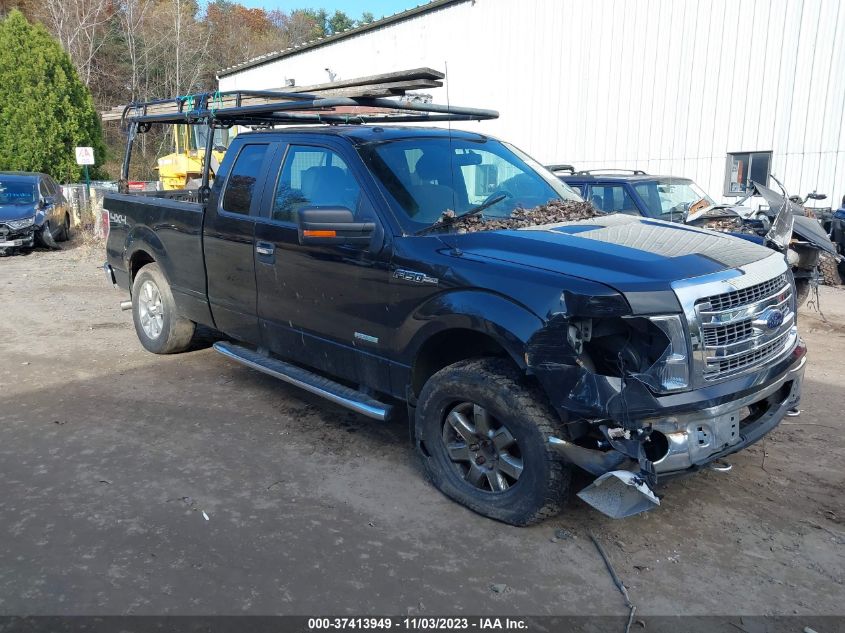 2013 FORD F-150 XL/XLT/FX4/LARIAT - 1FTFX1ET8DFB14071