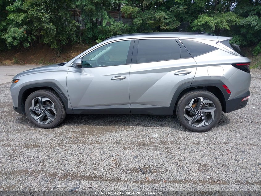 VIN 5NMJECAE3PH182546 2023 HYUNDAI TUCSON LIMITED