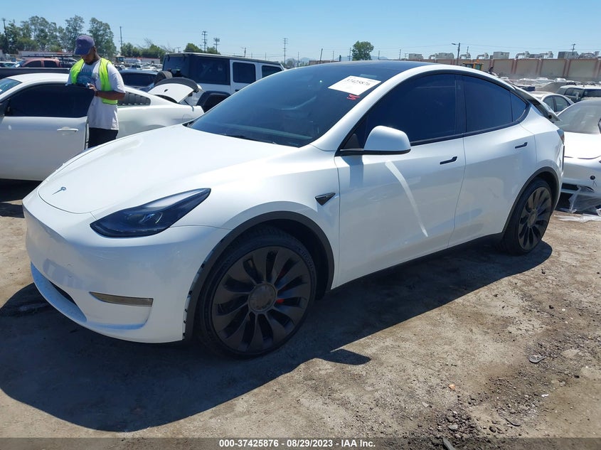 VIN 7SAYGDEF7PF763019 2023 TESLA MODEL Y