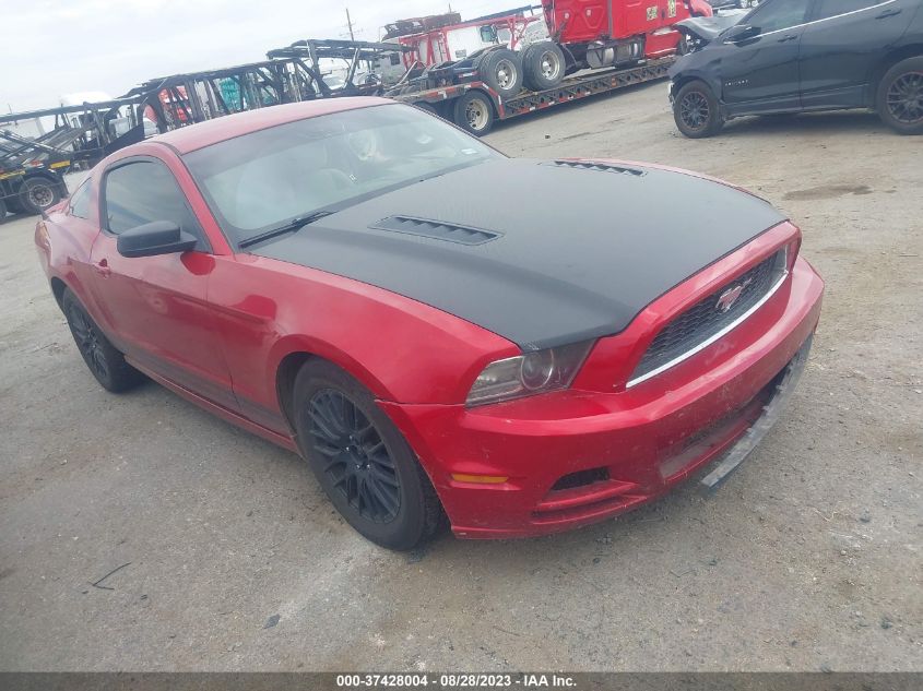 2013 FORD MUSTANG - 1ZVBP8AM8D5221209