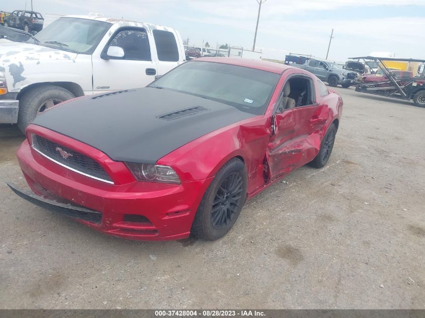 2013 FORD MUSTANG - 1ZVBP8AM8D5221209