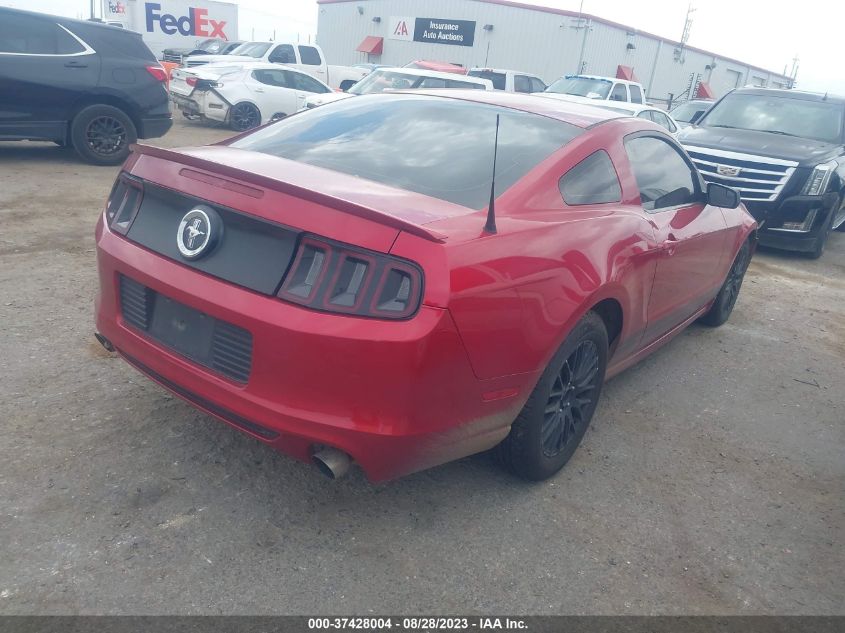 2013 FORD MUSTANG - 1ZVBP8AM8D5221209