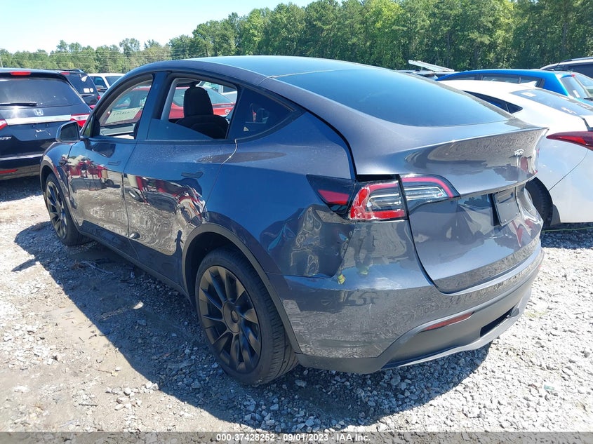 VIN 7SAYGDEE3PF648831 2023 TESLA MODEL Y LONG RANGE