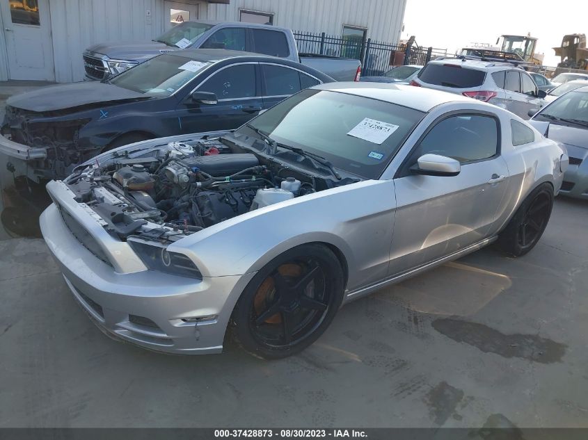 2013 FORD MUSTANG GT - 1ZVBP8CF8D5266519