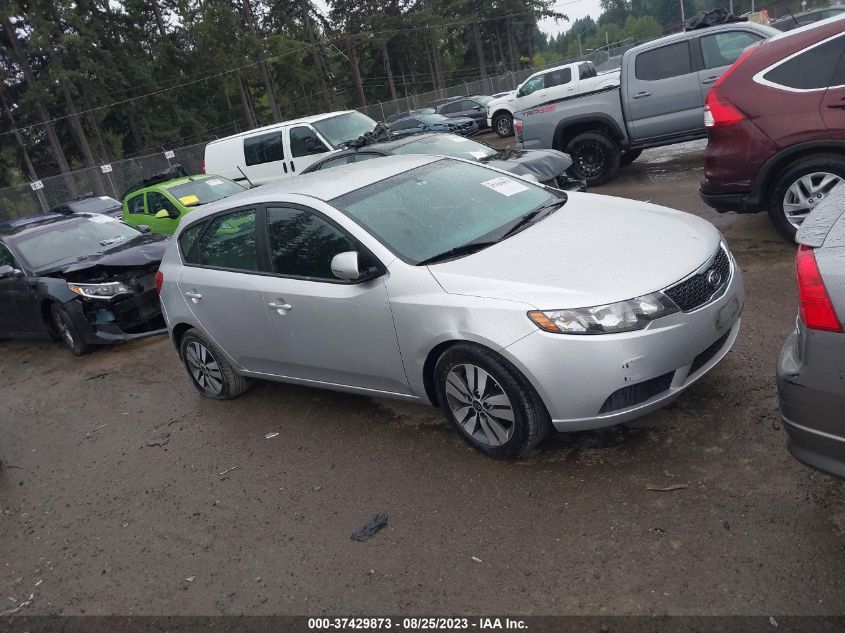 2013 KIA FORTE 5-DOOR EX - KNAFU5A20D5729388