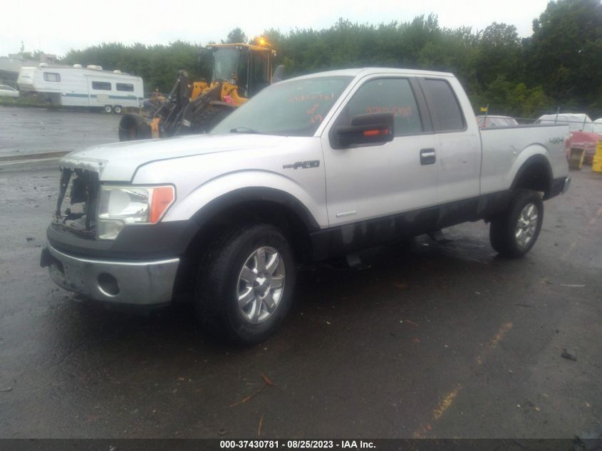 2013 FORD F-150 XL/XLT/FX4/LARIAT - 1FTFX1ET3DFA56712