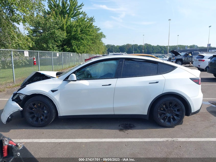 VIN 5YJYGDEE6LF049008 2020 TESLA MODEL Y