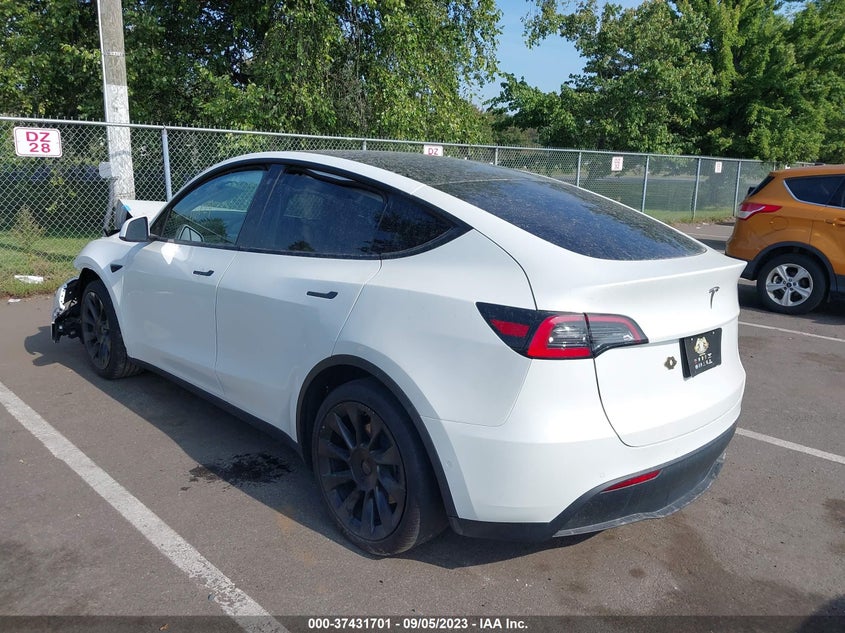 VIN 5YJYGDEE6LF049008 2020 TESLA MODEL Y