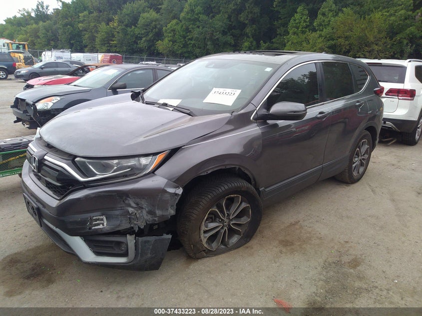 VIN 5J6RW2H56LA021204 2020 HONDA CR-V EX