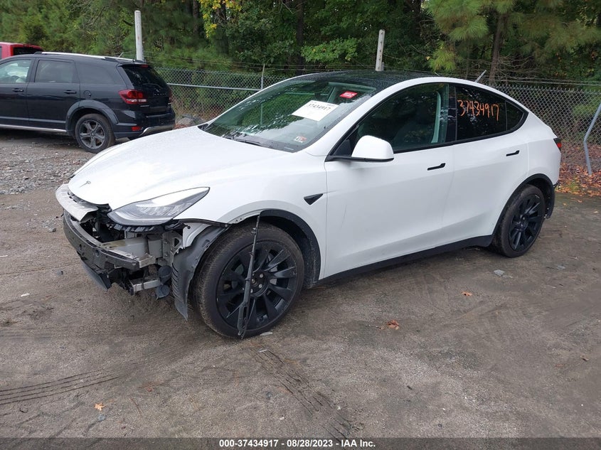 VIN 5YJYGDEE2MF074893 2021 TESLA MODEL Y
