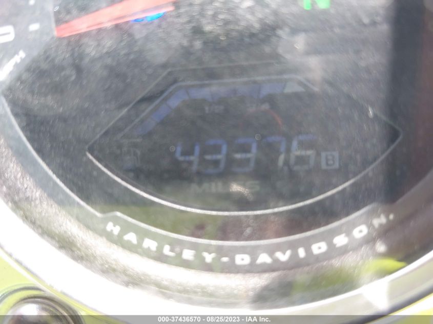 2019 HARLEY-DAVIDSON FXLR 1HD1YNJ66KB068614