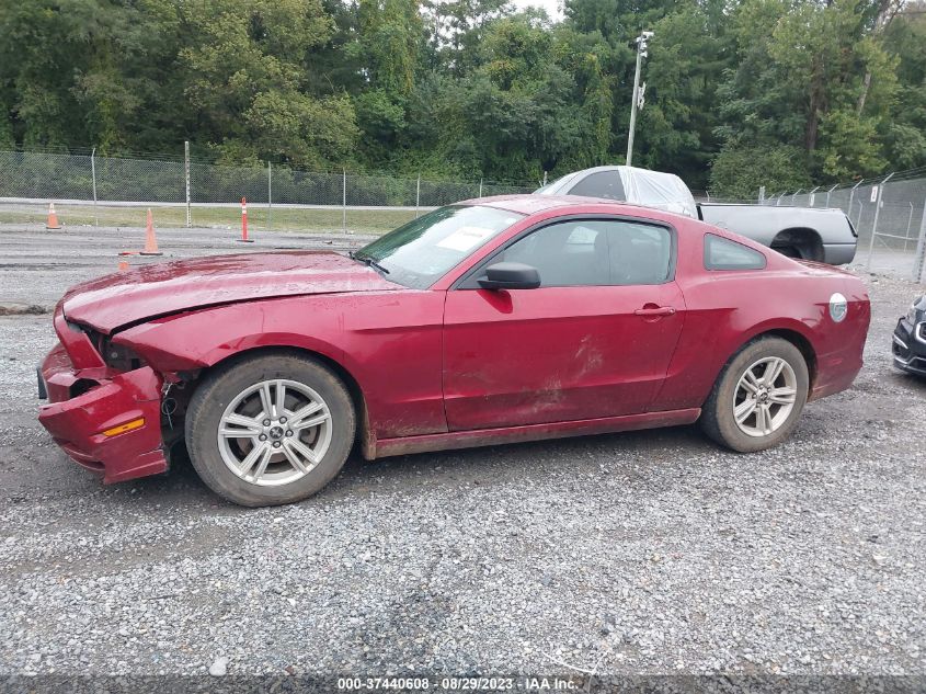 2014 FORD MUSTANG V6 - 1ZVBP8AM3E5287328