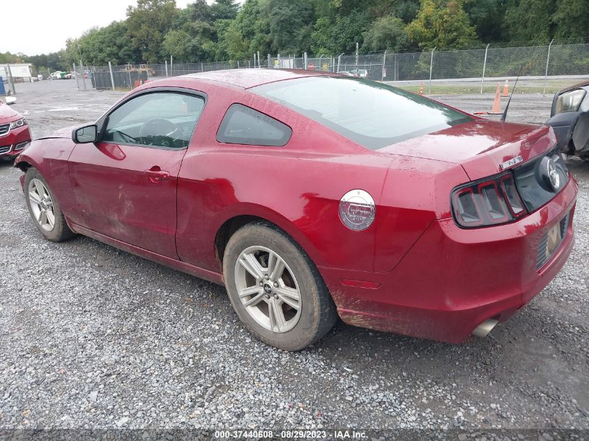 2014 FORD MUSTANG V6 - 1ZVBP8AM3E5287328