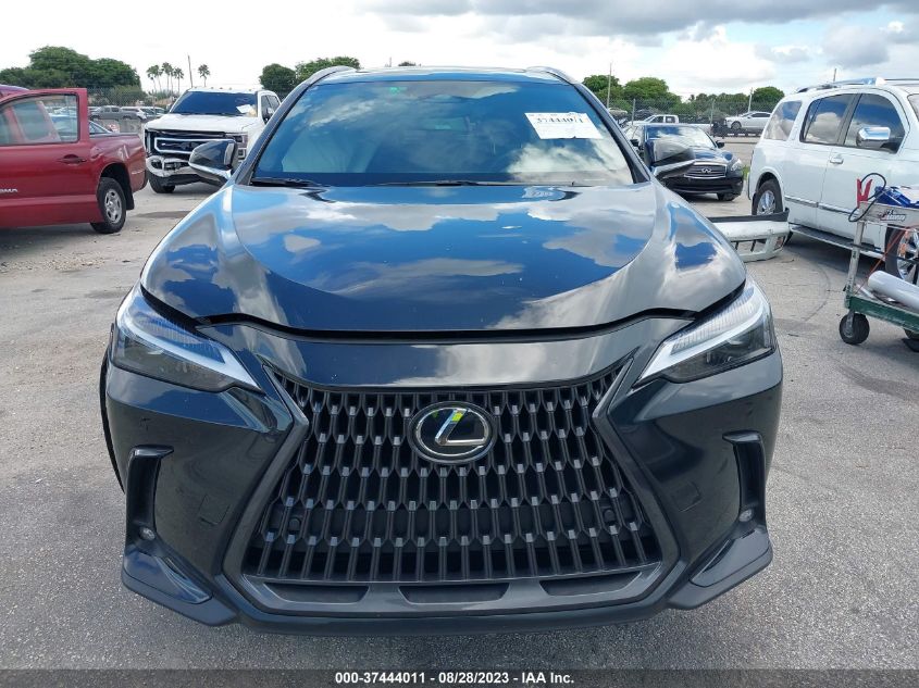 2023 LEXUS NX 350 - 2T2GGCEZ2PC028297