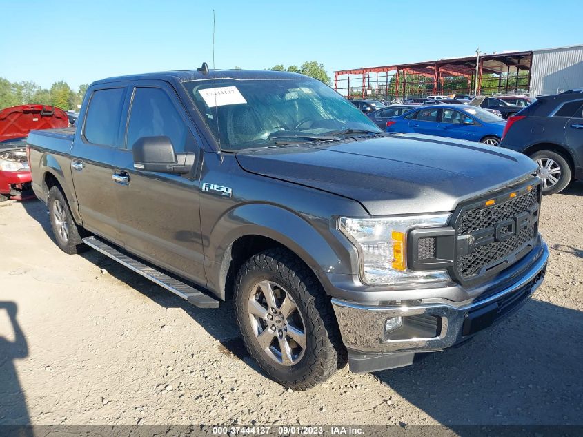 2019 FORD F-150 XL/XLT - 1FTEW1CB9KKC43885