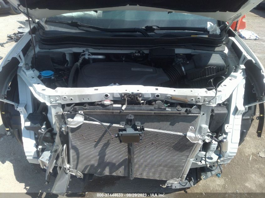 2019 HONDA PILOT EX-L - 5FNYF5H52KB033911